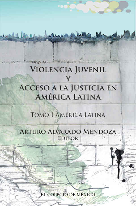 Violencia juvenil y acceso a la justicia. Tomo I. AmÃ©rica Latina 