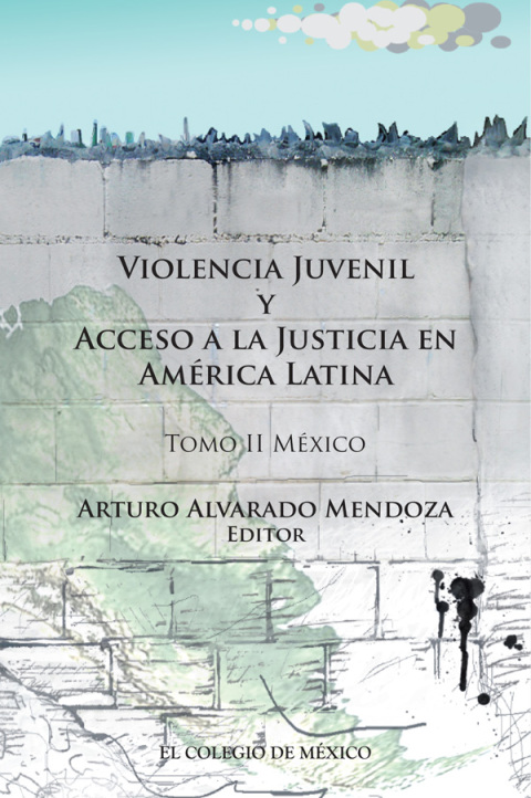 Violencia juvenil y acceso a la justicia. Tomo II. MÃ©xico 