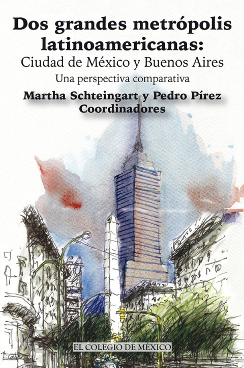 Cover image for book Dos grandes metrópolis latinoamericanas: Ciudad de México y Buenos Aires. Una perspectiva comparativa.