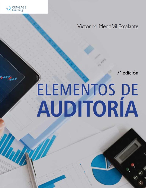 Cover image for book Elementos de Auditoría