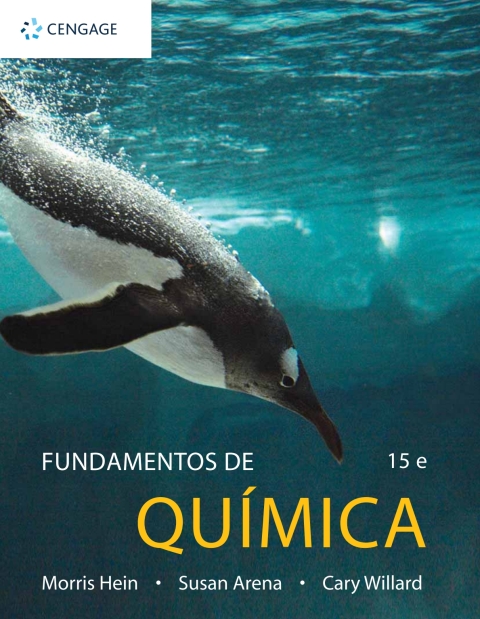 Cover image for book Fundamentos de Química