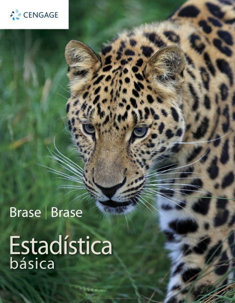 Cover image for book Estadística básica
