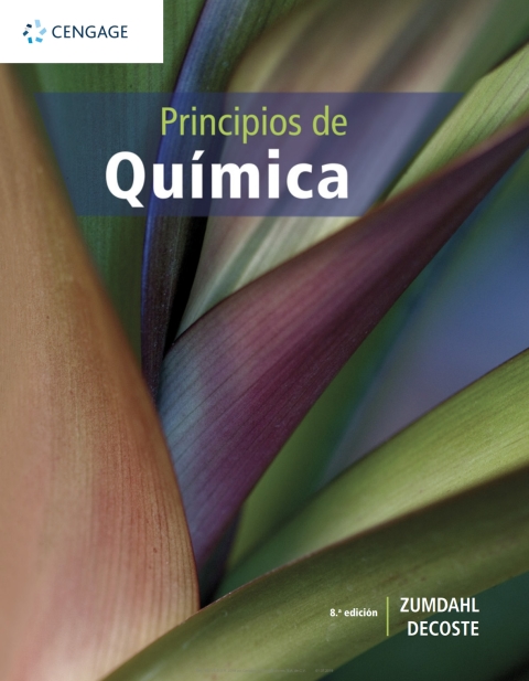 Cover image for book Principios de química