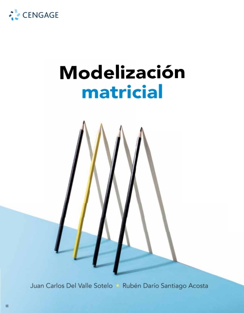 Cover image for book Modelización matricial