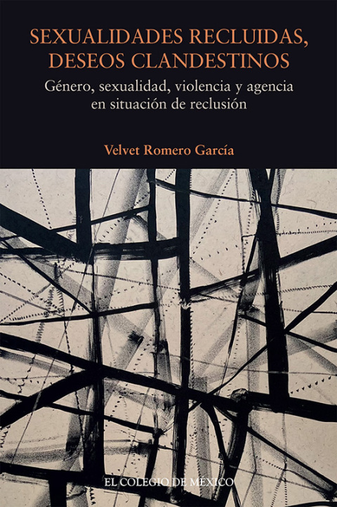 Sexualidades recluidas, deseos clandestinos. GÃ©nero, sexualidad, violencia y agencia en situaciÃ³n de reclusiÃ³n 