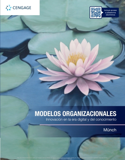 Cover image for book Modelos organizacionales