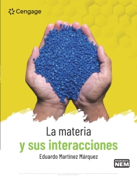 La Materia Y Sus Interacciones St Edition