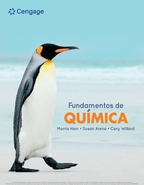 Cover image for book Fundamentos de química