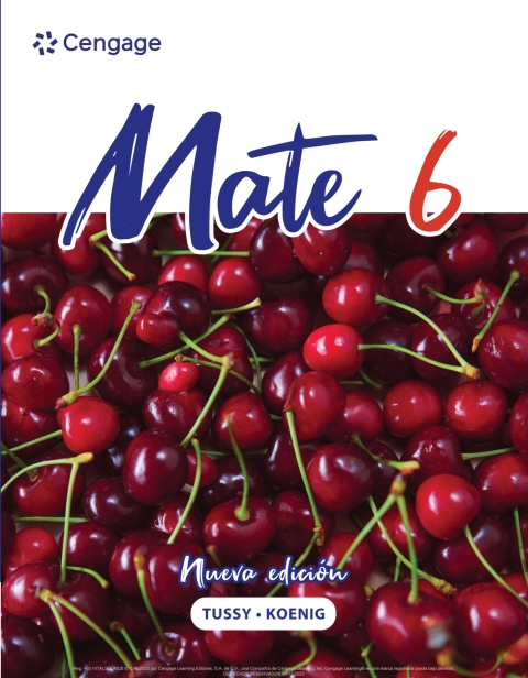 Cover image for book MATE 6