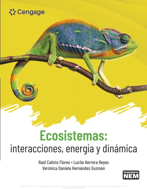 Cover image for book Ecosistemas: interacciones, energía y dinámica