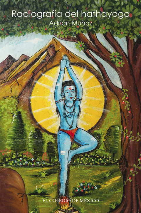 Cover image for book Radiografía del hathayoga
