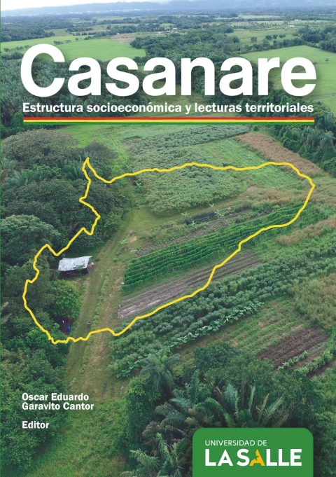 Cover image for book Casanare: Estructura socioeconómica y lecturas territoriales