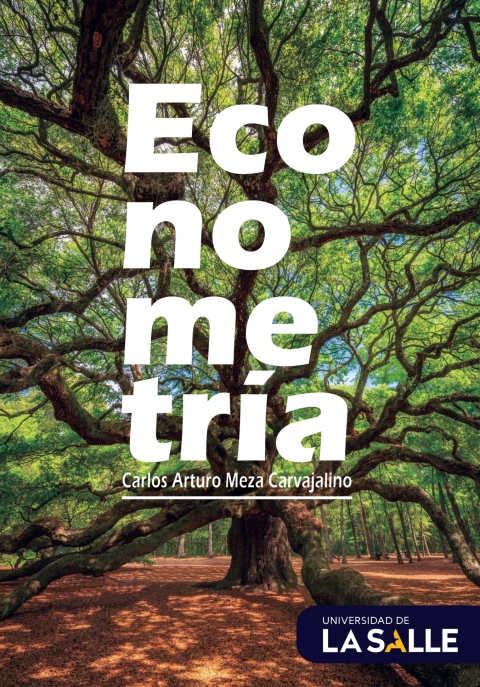 Cover image for book Econometría