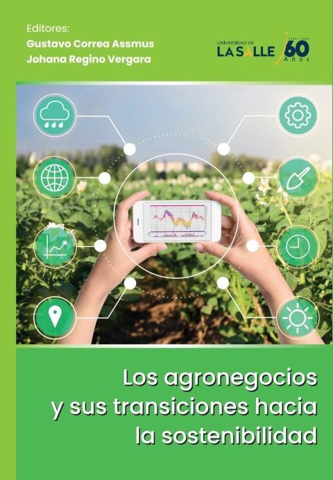 Cover image for book Los agronegocios y sus transiciones hacia la sostenibilidad