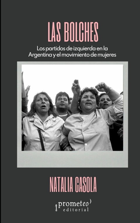 Cover image for book Las bolches: Los partidos de izquierda en la Argentina y el movimiento de mujeres en la historia reciente