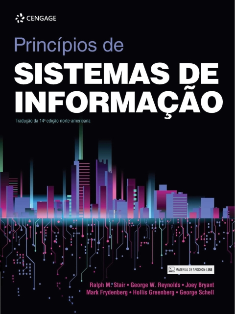 Princípios de sistemas de informação
