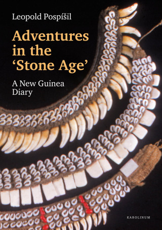 Adventures in the Stone Age