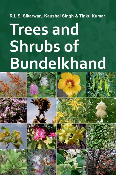 Cover image for book Trees and Shrubs of Bundelkhand