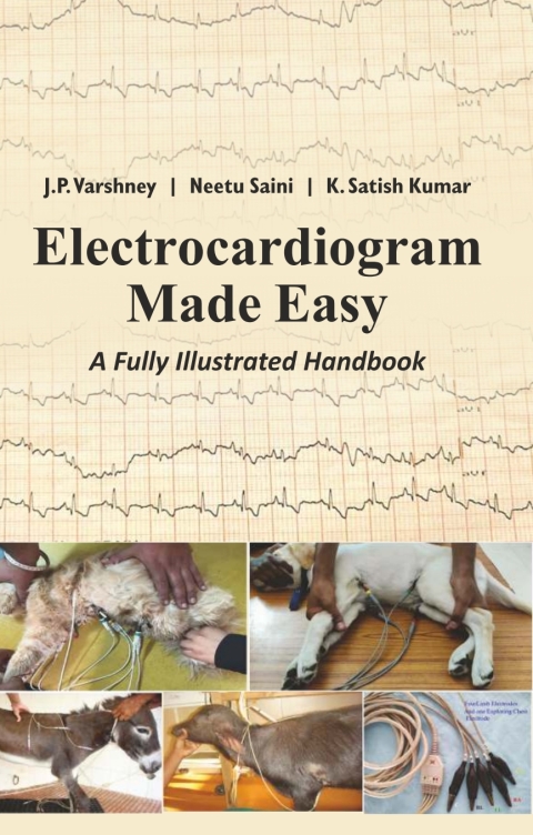 Cover image for book Electrocardiogram Made Easy: A Fully Illustrated Handbook
