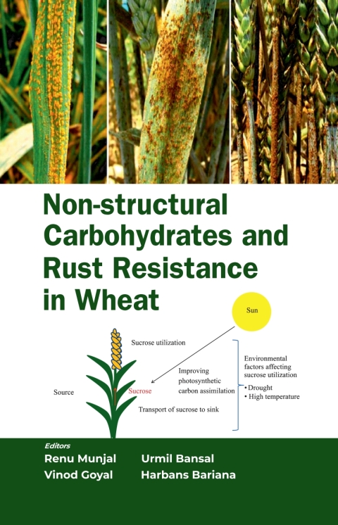 Cover image for book Non-Structural Carbohydrates  and Rust Resistance in Wheat