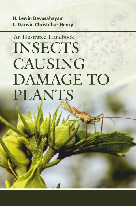 Cover image for book An Illustrated Handbook: Insects Causing Damage to Plants