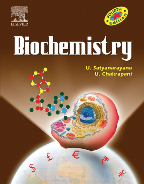 Introduction to metabolism 