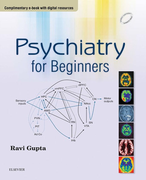Cover image for book Psychiatry for Beginners