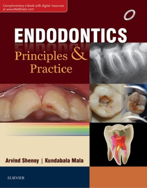 Cover image for book Endodontics: Principles and Practice