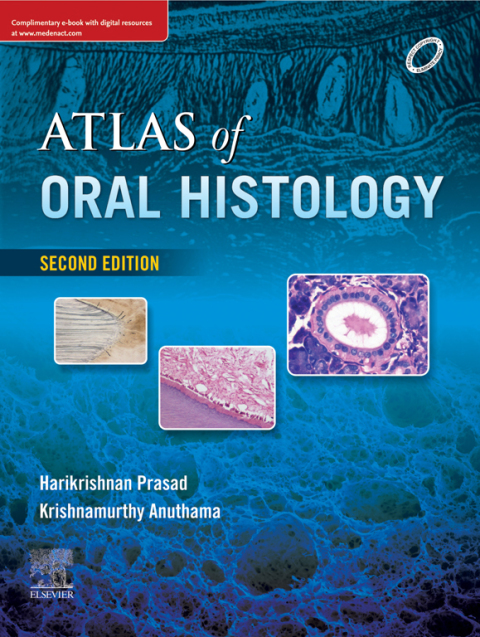 Cover image for book Atlas of Oral Histology