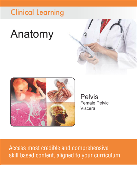 Cover image for book Pelvis - Female Pelvic Viscera