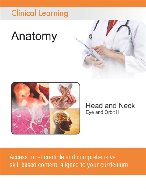 Cover image for book Head and Neck - Eye and Orbit II