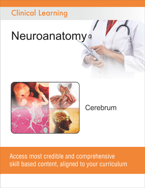 Cover image for book Cerebrum