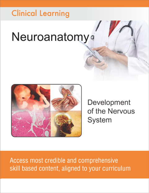 Cover image for book Development of the Nervous System