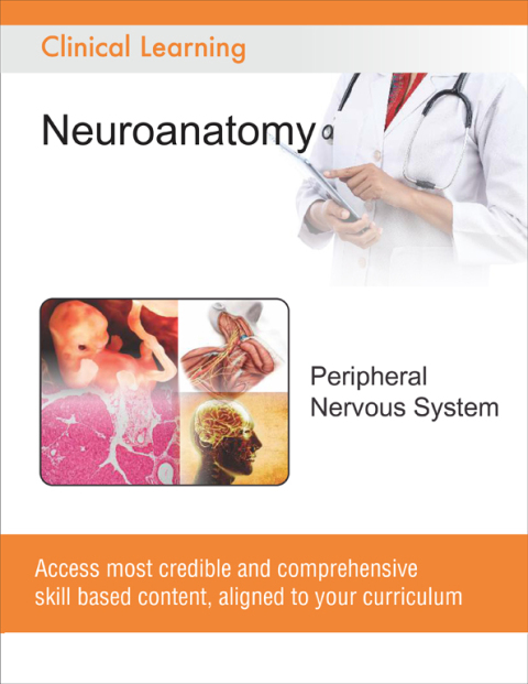Cover image for book Peripheral Nervous System