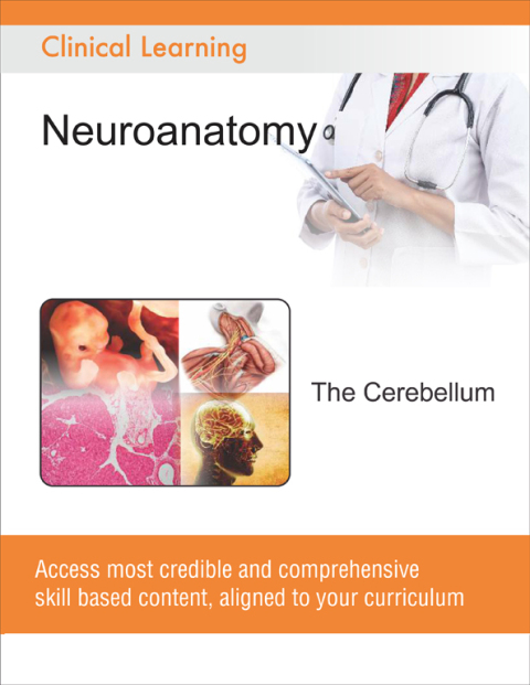 Cover image for book The Cerebellum