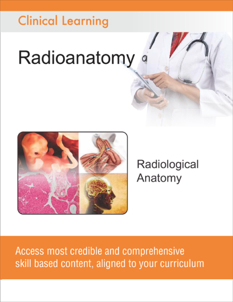 Cover image for book Radiological Anatomy