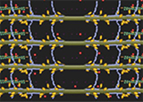 Cover image for book Effect of Temperature on SMT
