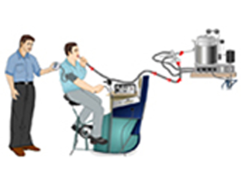 Cover image for book Energy Cost and Mechanical Efficiency
