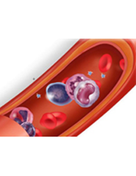 Cover image for book Red Blood Cell count