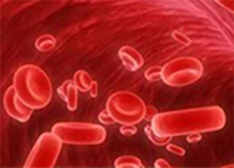 Cover image for book Total Leucocyte Count (TLC)