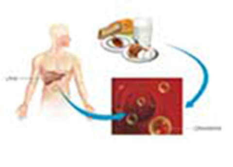 Cover image for book Estimation of Blood Cholesterol