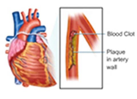 Cover image for book Estimation of Blood Triglycerides