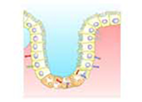 Cover image for book Estimation of Serum Alkaline Phosphatase