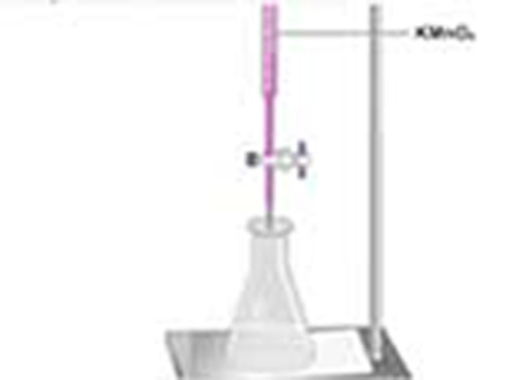 Cover image for book Estimation of Serum Calcium