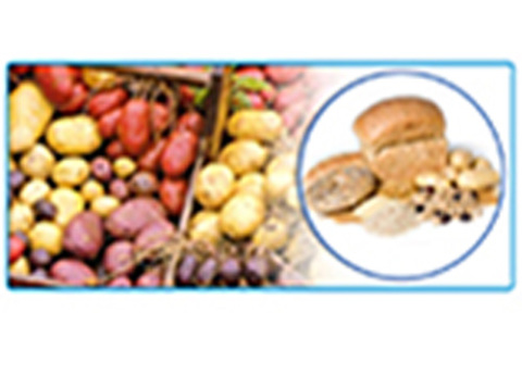 Cover image for book General Tests of Carbohydrates and their Identification