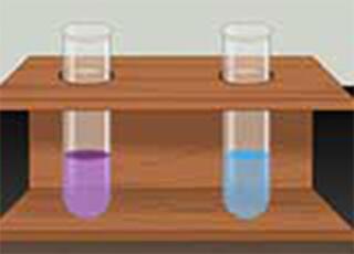 General Tests of Proteins and Precipitation Reactions