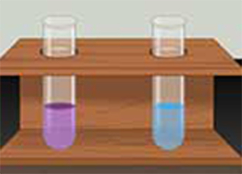 Cover image for book General Tests of Proteins and Precipitation Reactions