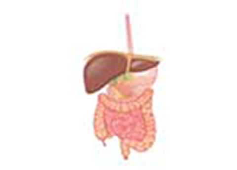 Cover image for book Glucose Tolerance Test