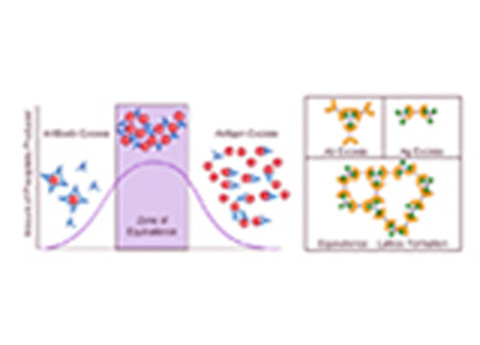 Cover image for book Immunochemical Methods 1