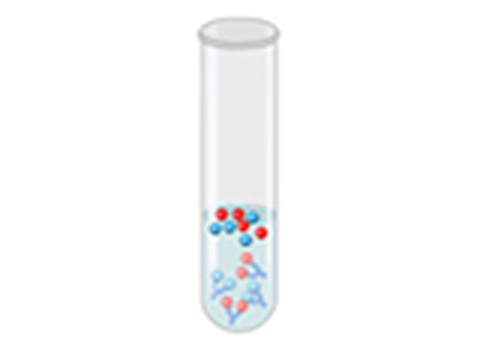 Cover image for book Immunochemical Methods-2